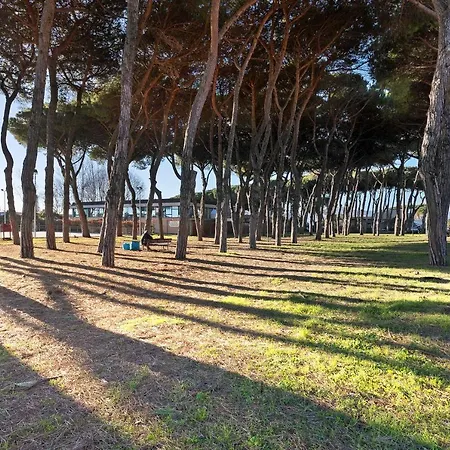 Mare Apartman Marina di Carrara